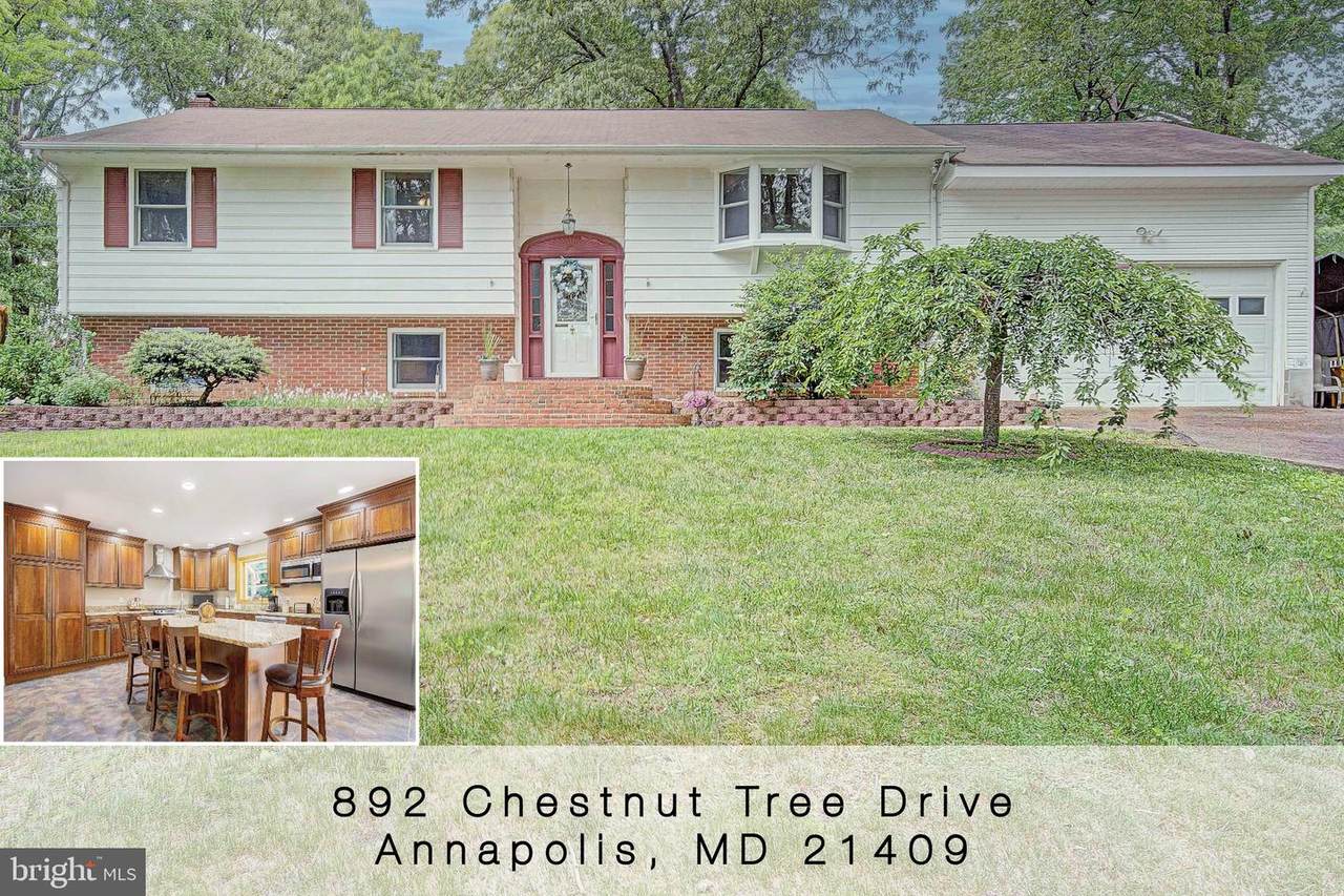 892 Chestnut Tree Drive - Photo 1