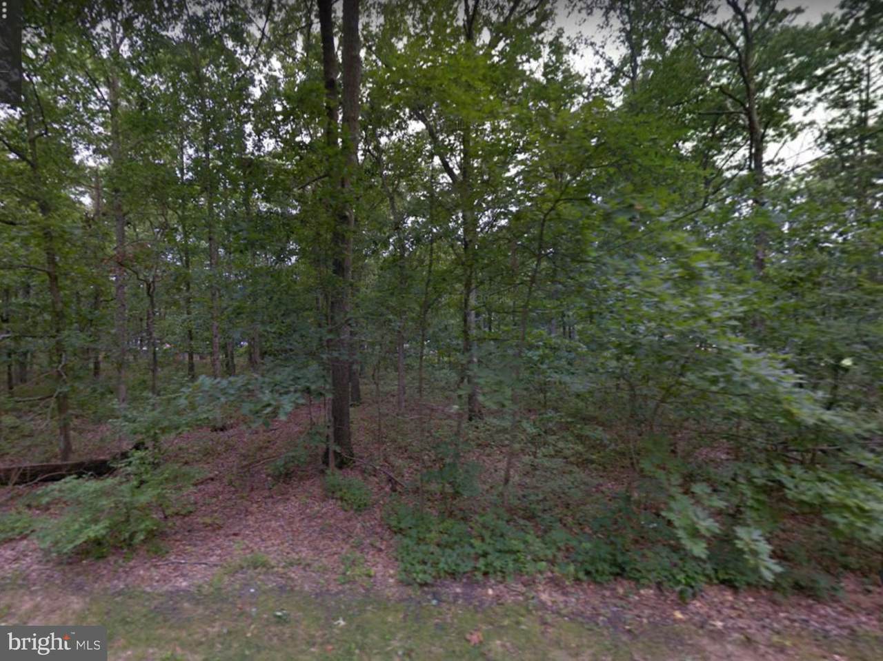 2253 Blue Bell Road - Photo 1