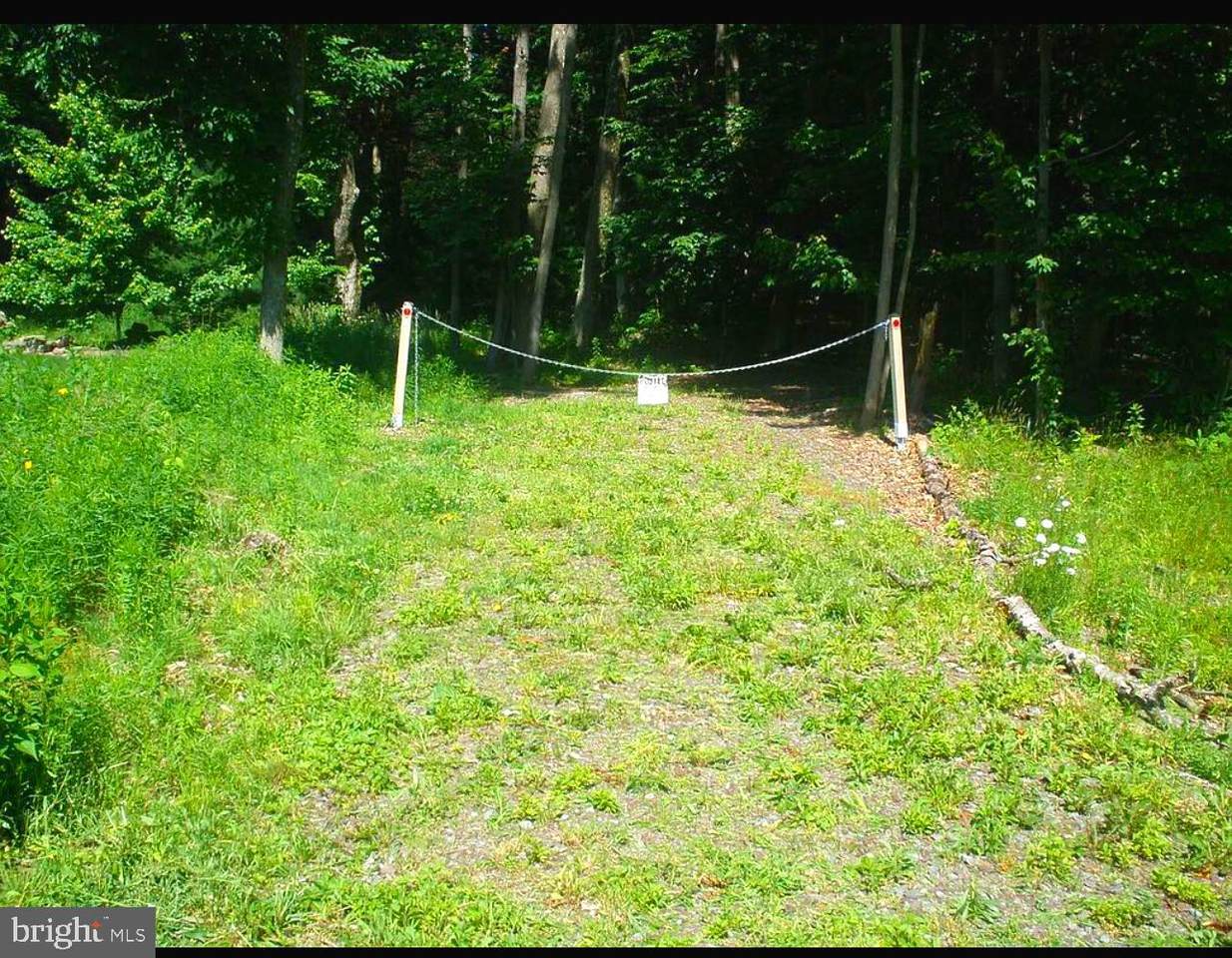 Baird St. - Photo 1