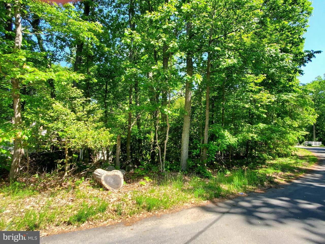 452 Buffalo Road - Photo 1
