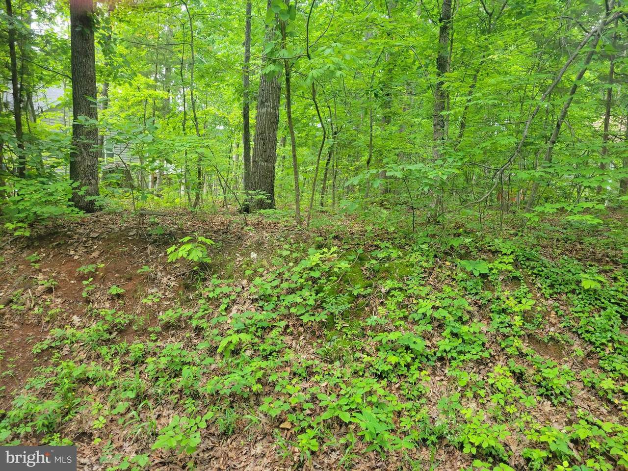 209 Yorktown Boulevard - Photo 1
