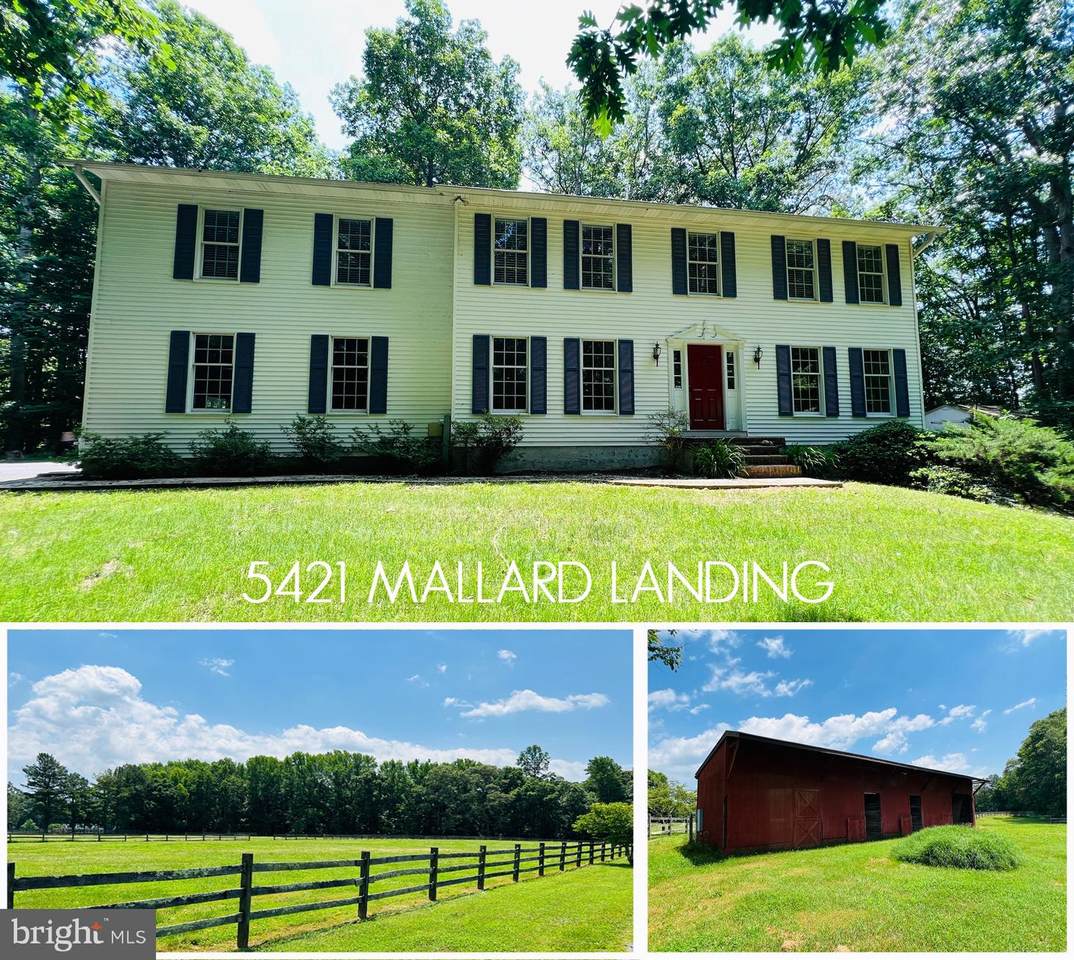 5421 Mallard Landing Drive - Photo 1