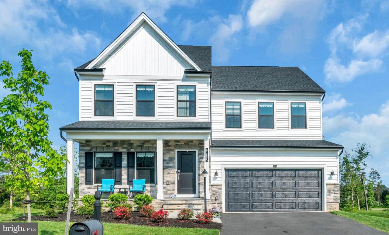 41455 Tarragon Leaf Drive - Photo 1