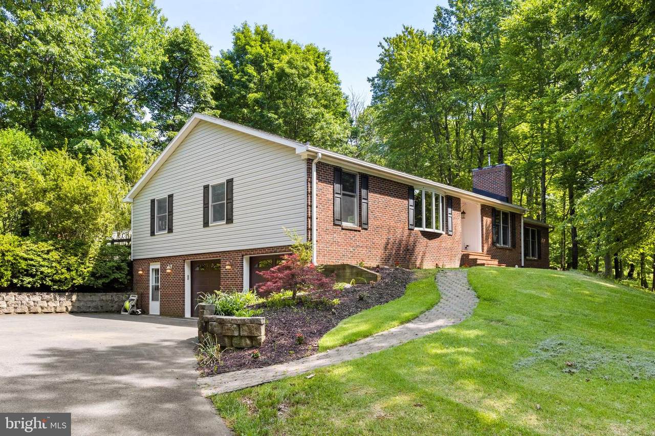 6265 Snowfox Lane - Photo 1