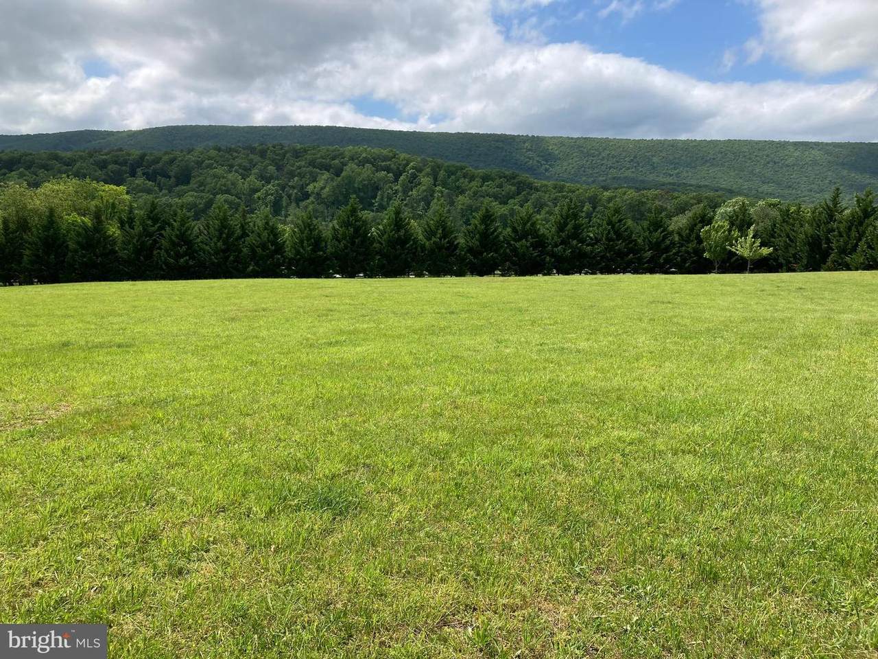 58 Dawson Farm Road - Photo 1
