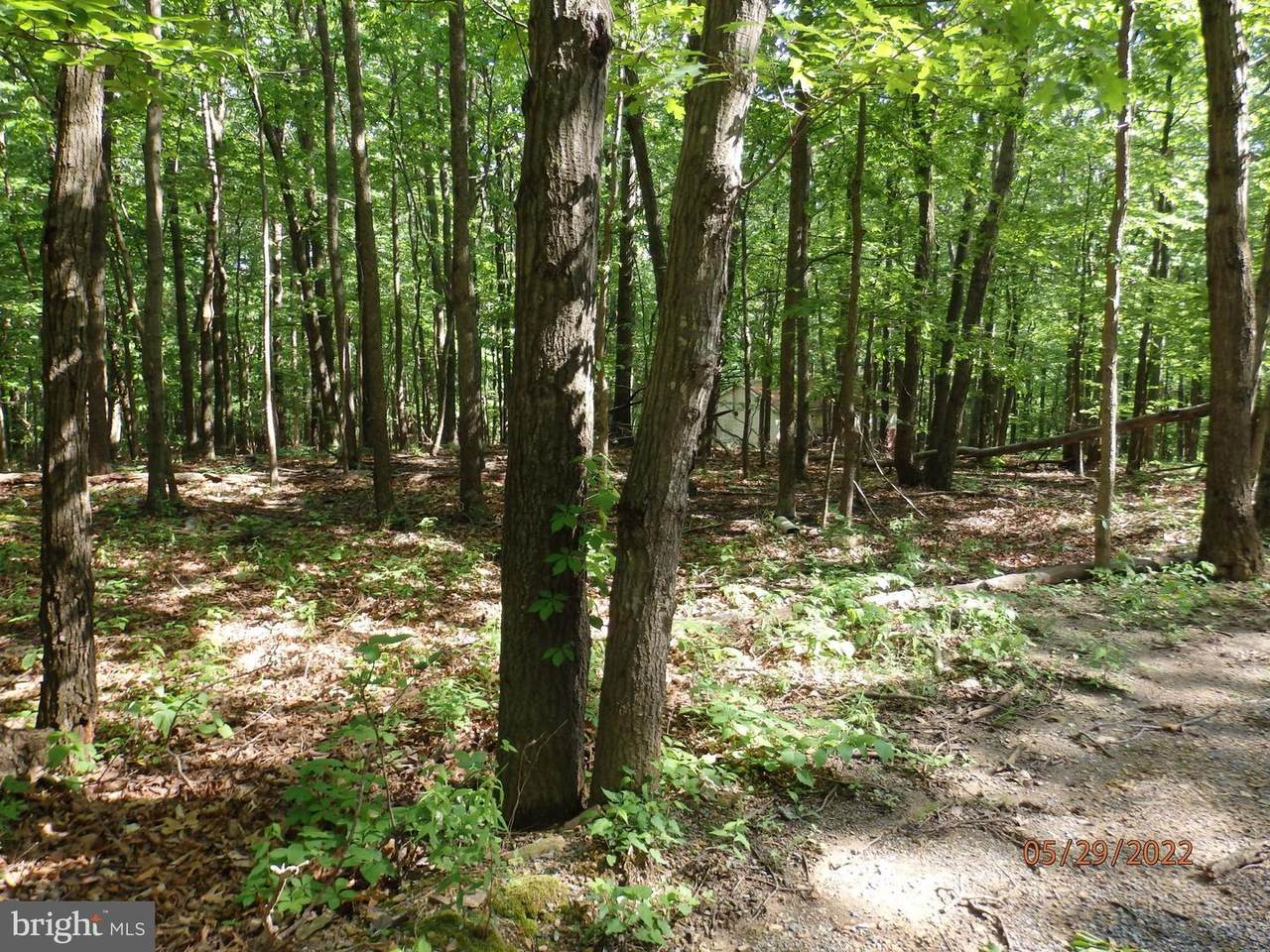 LOT 7 Quail Dr - Photo 1