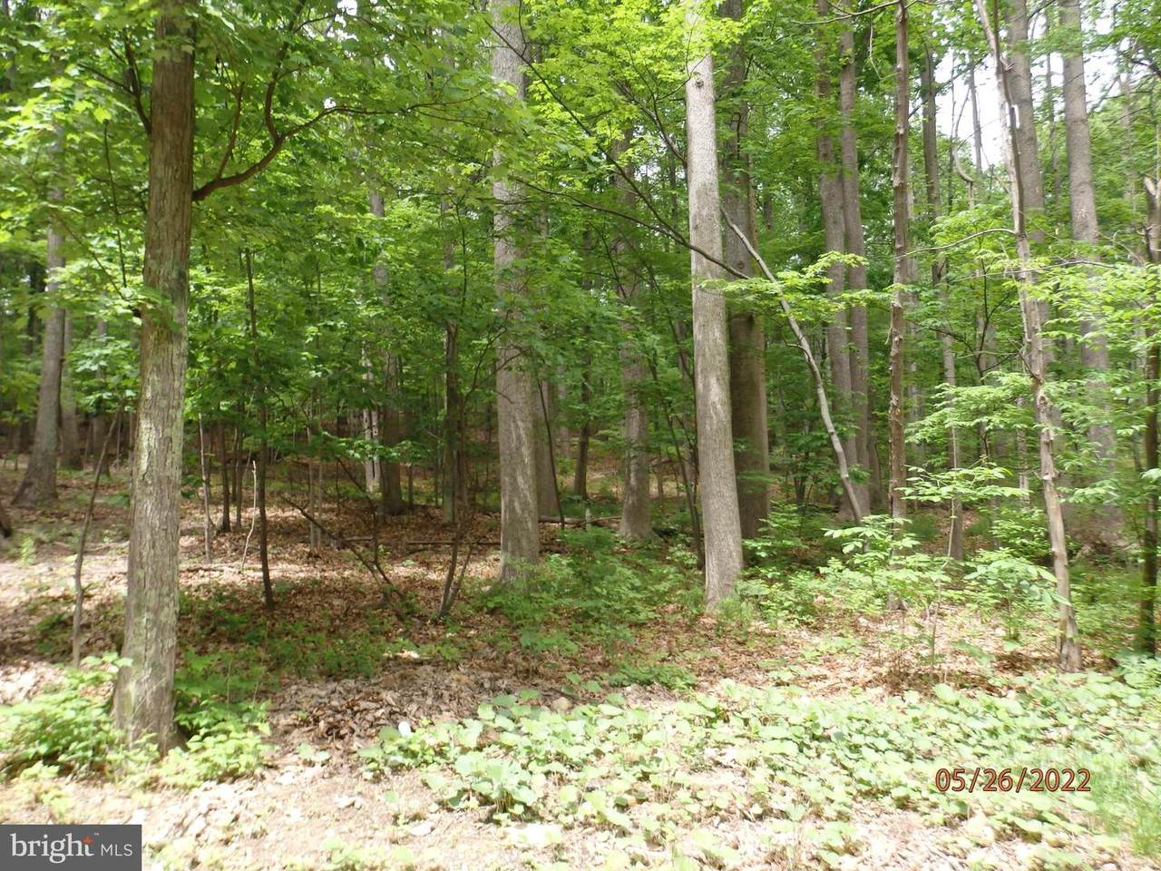 LOT 9 Panther - Photo 1