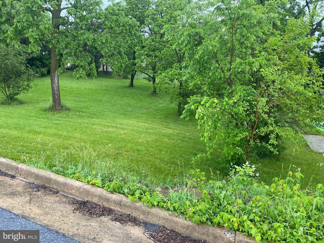 TBD Stickley/Thompson St - Photo 1
