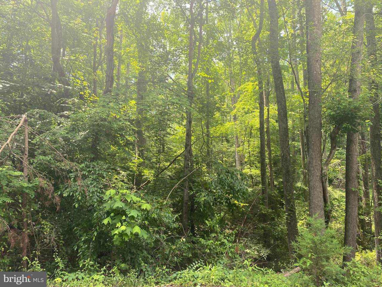 Lot145/Section14 Tompkins Drive - Photo 1