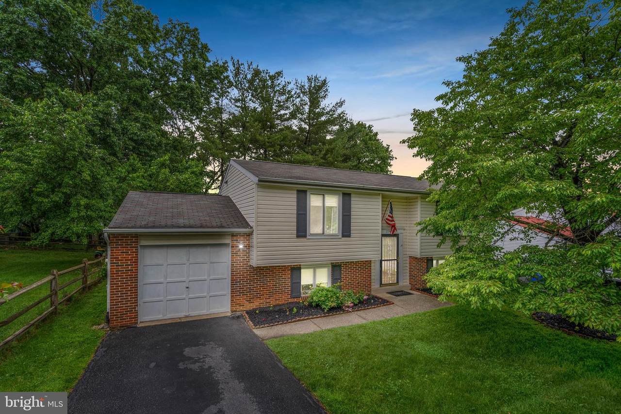 11948 Bambi Court - Photo 1