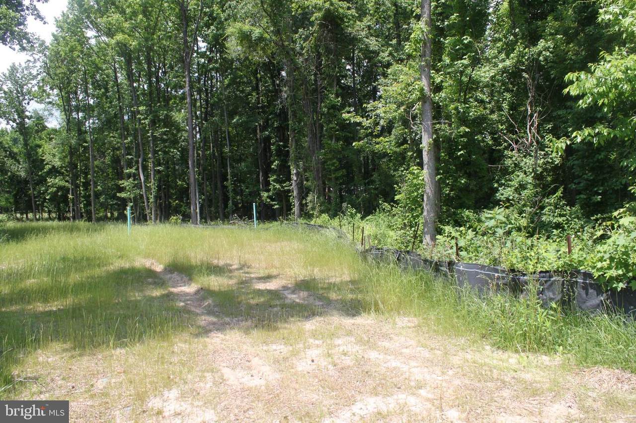 Green Acres Drive - Photo 1