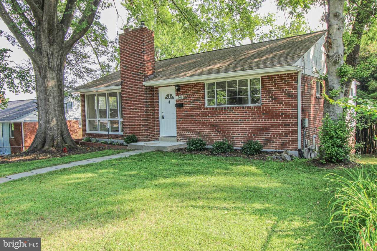 3903 Joliet Street - Photo 1