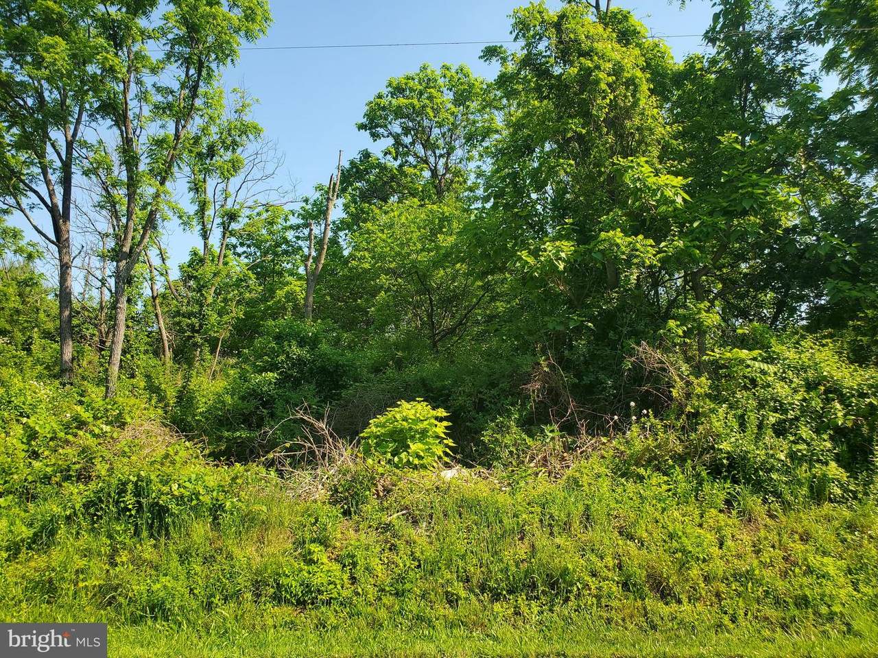 Lot #121 Sandy Hollow Road - Photo 1