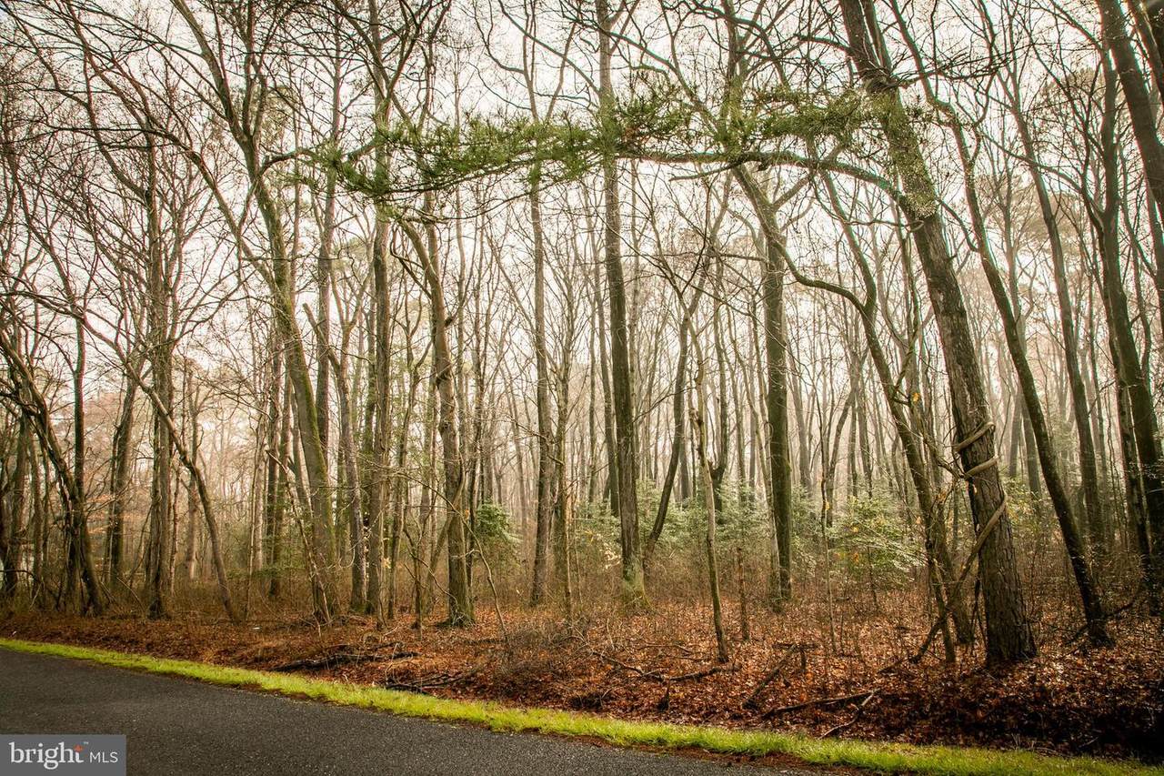 Jesterville Road - Photo 1