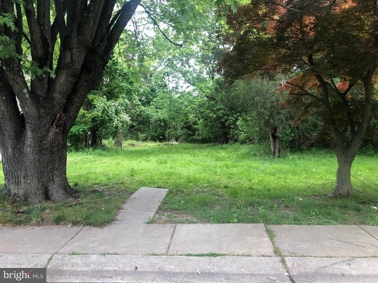 2366 Thomas Avenue - Photo 1