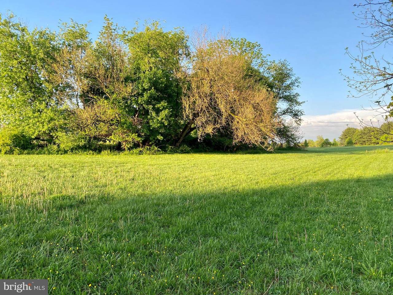 2359 Cedarville Road - Photo 1