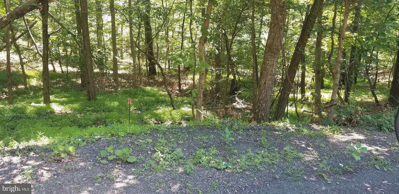 Lot #24 Trapper Ridge - Photo 1