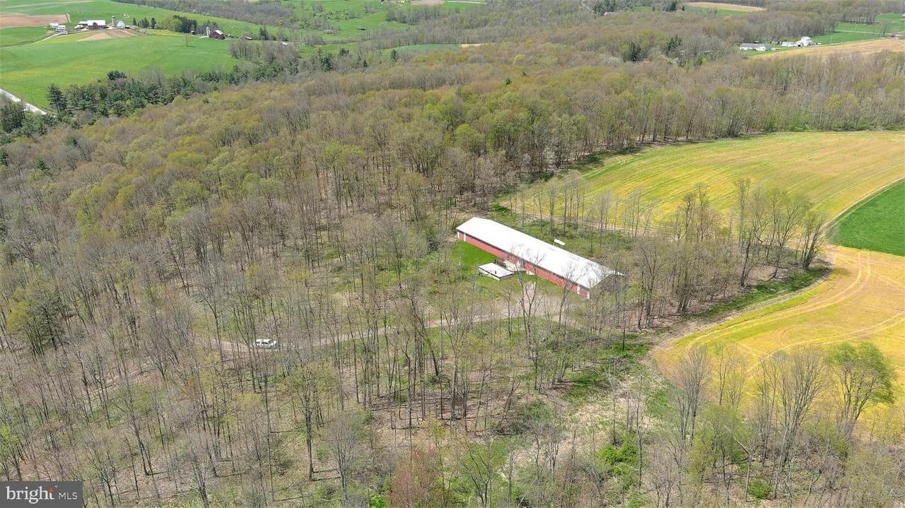 616 Crab Run Road - Photo 1