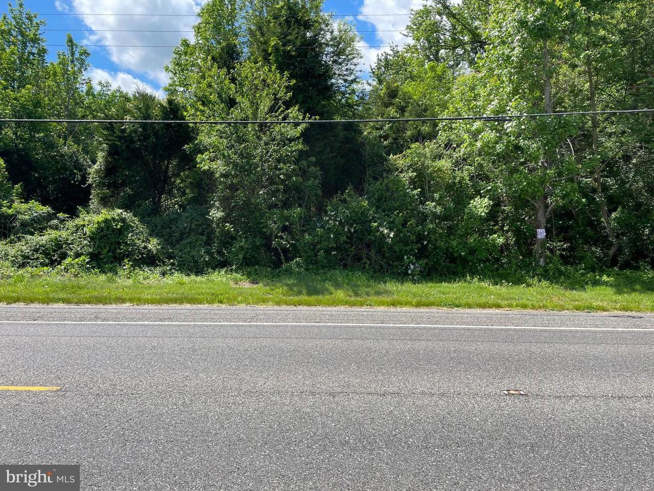 1321 Wheat Road - Photo 1