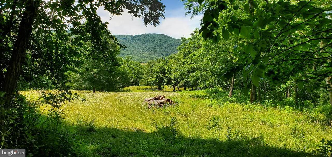 0 Wolf Mountain Lane - Photo 1