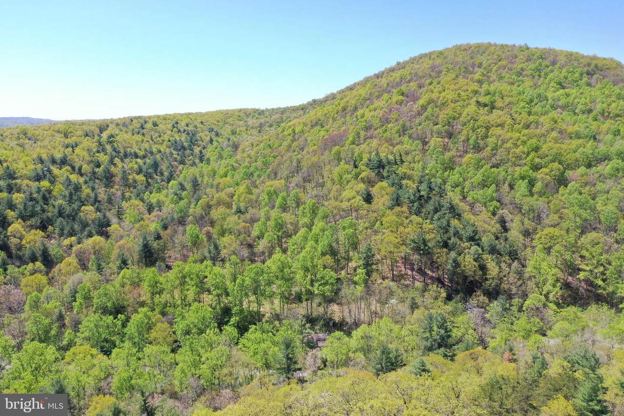 5520 Critton Owl Hollow Road - Photo 1