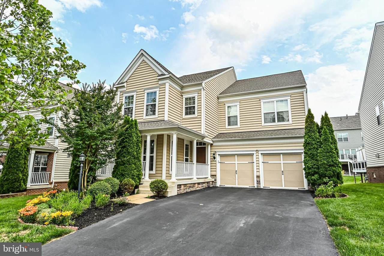 42619 Callalily Way - Photo 1