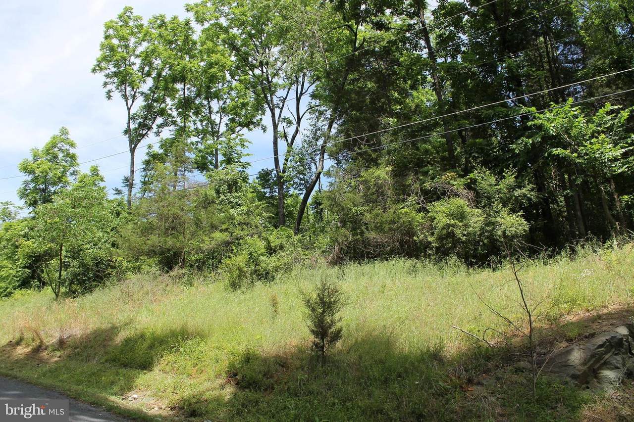 46 Mason Dixon Trail - Photo 1