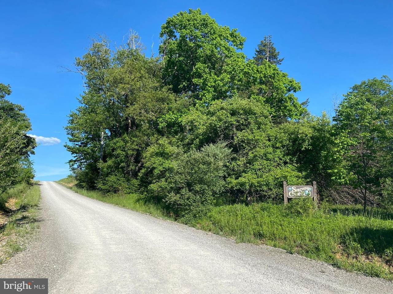 Lot 51 Hemlock Ridge Road - Photo 1