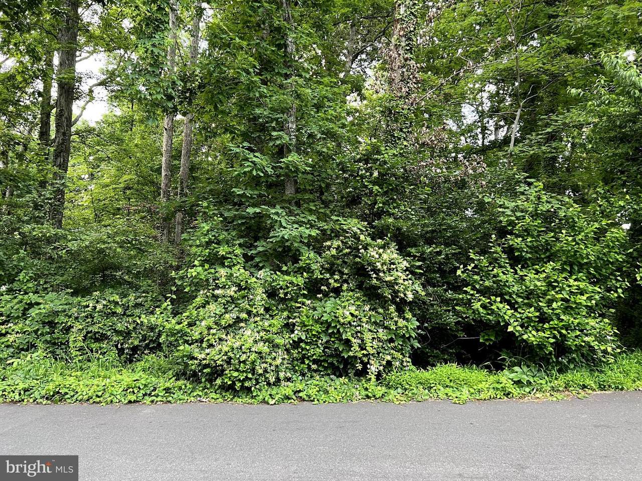7215 Oriole Avenue - Photo 1