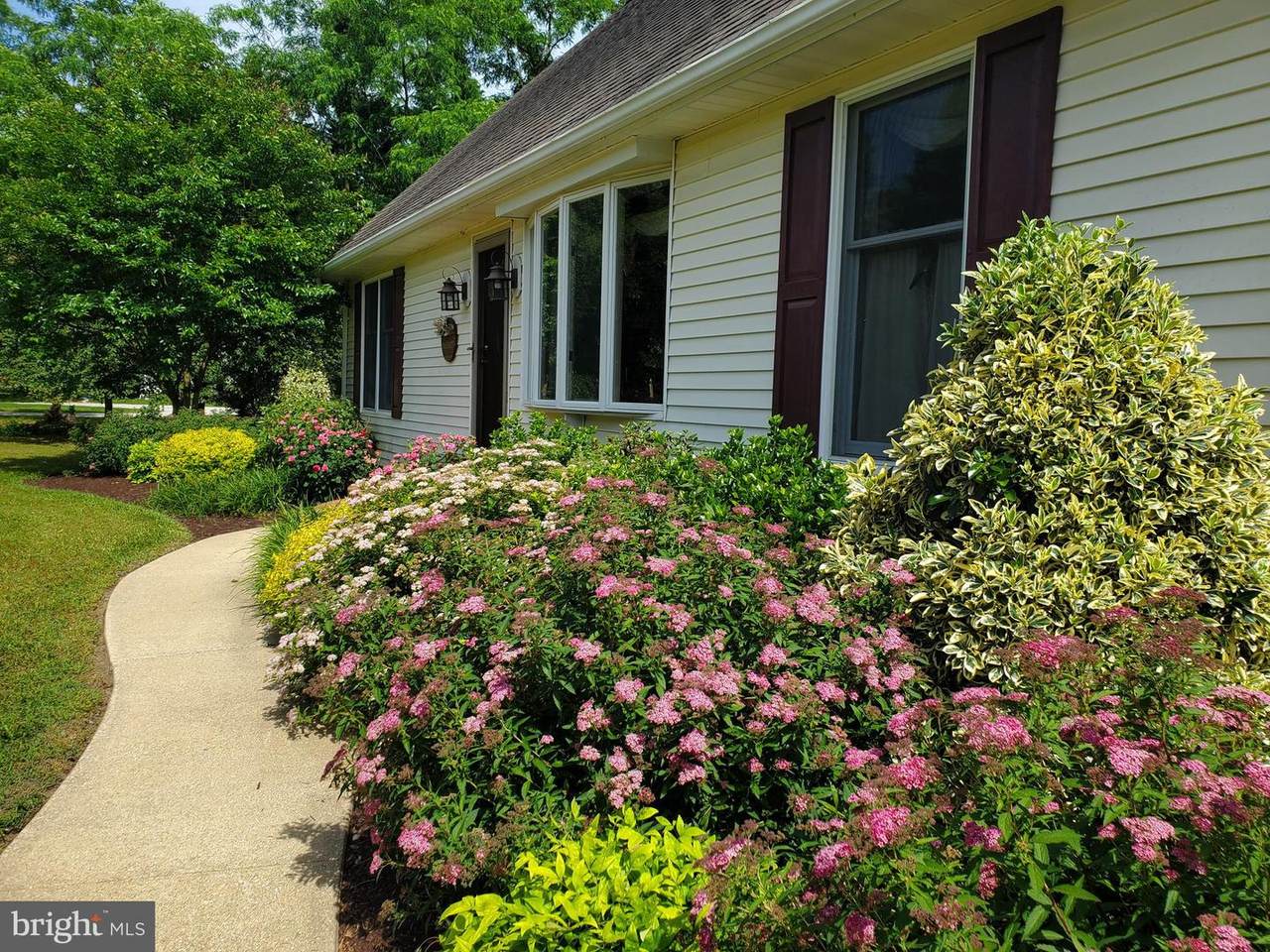 7805 Shore Drive - Photo 1