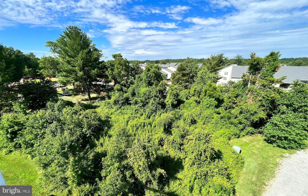 Woodlawn Ct - Photo 1