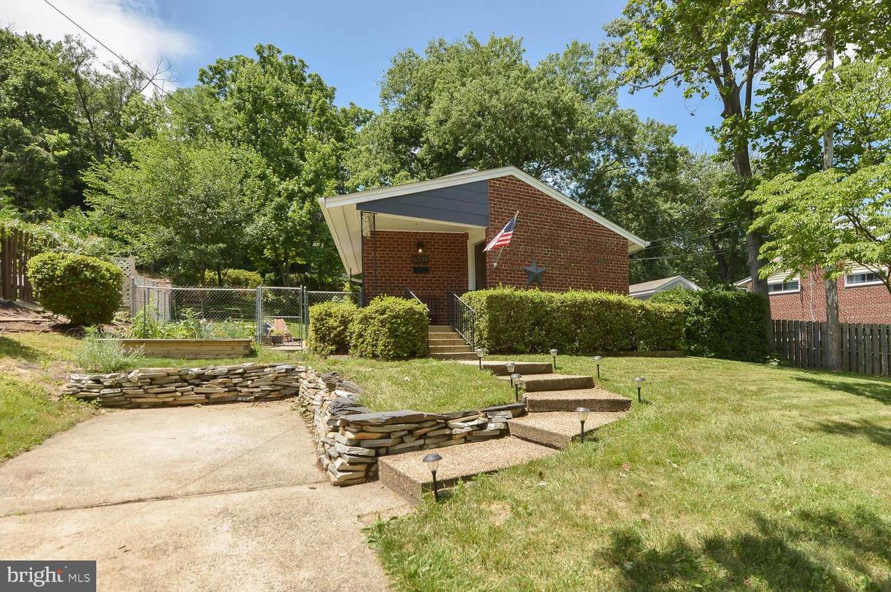 6339 Phyllis Lane - Photo 1