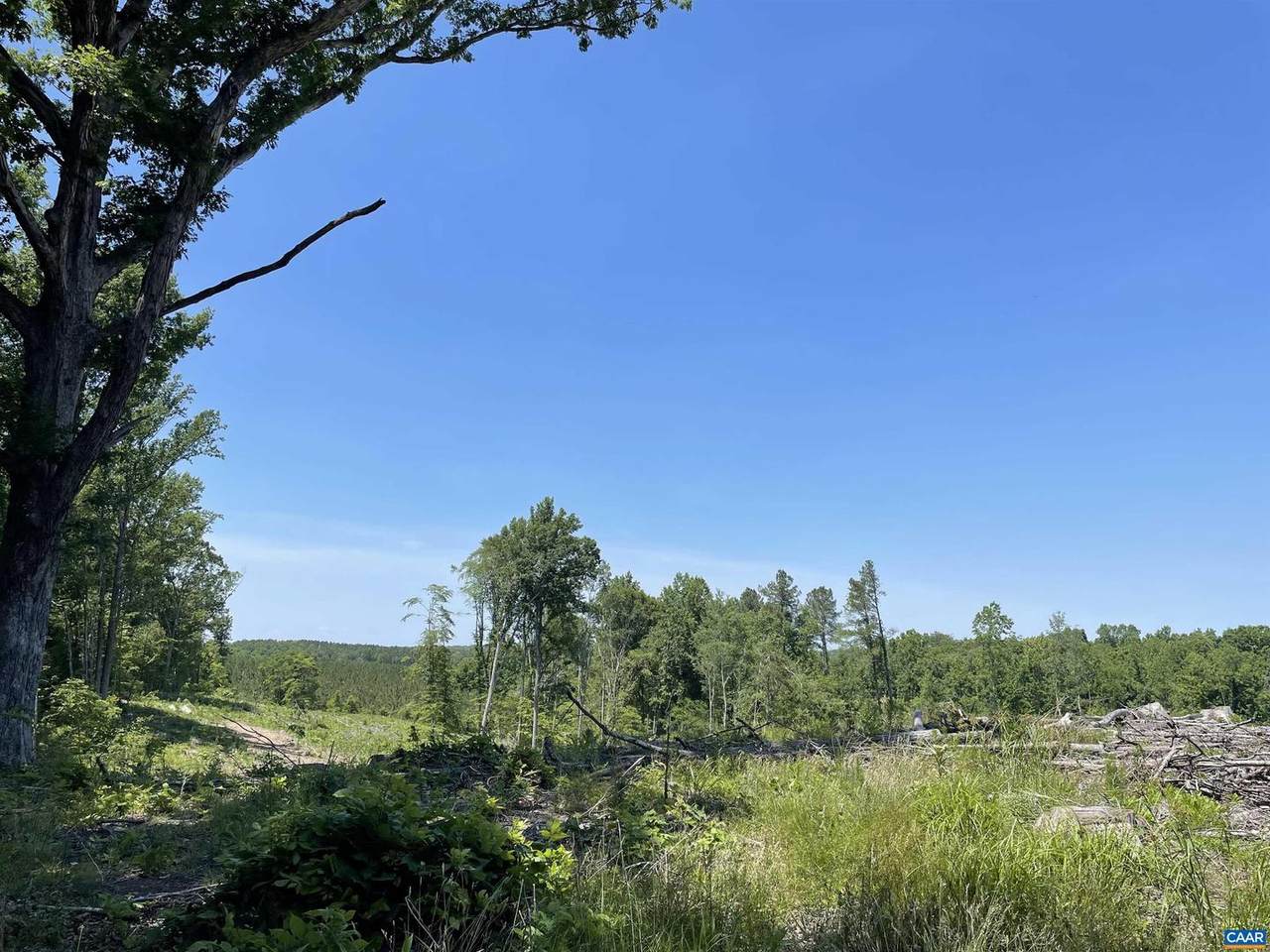 737 Bryants Ford Rd - Photo 1