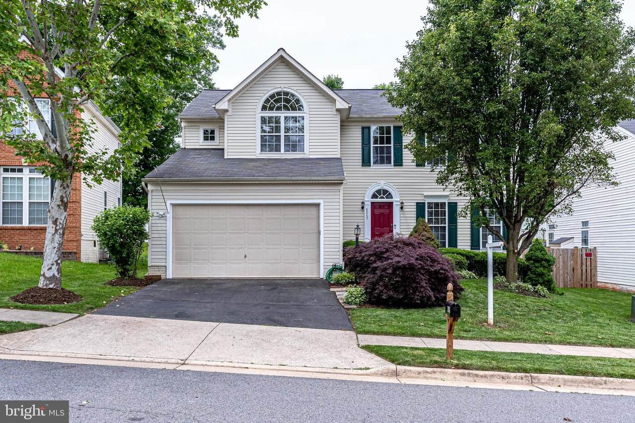 8065 Towering Oak Way - Photo 1