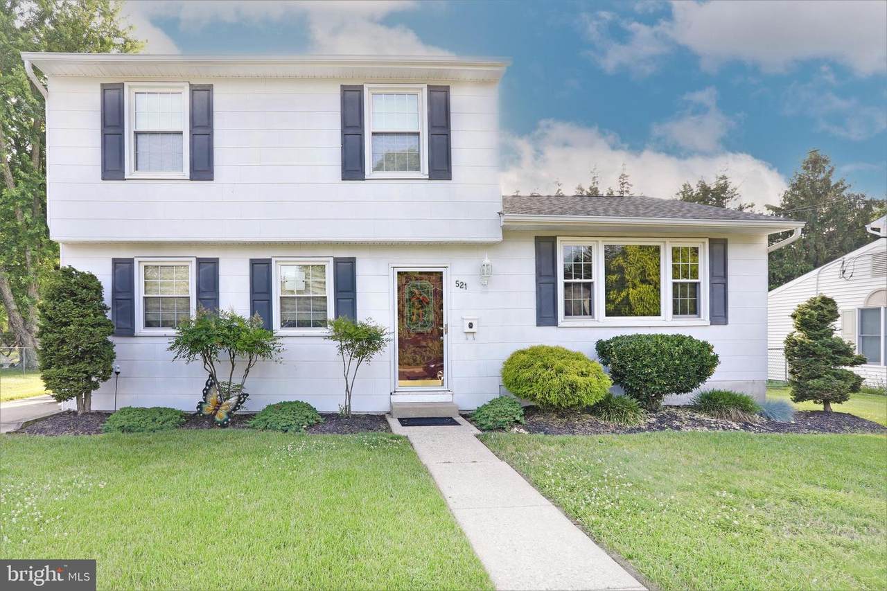 521 Mink Lane - Photo 1