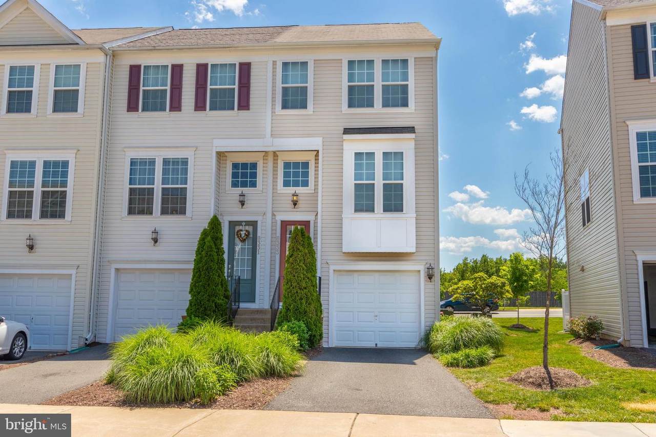 8333 Scotland Loop - Photo 1