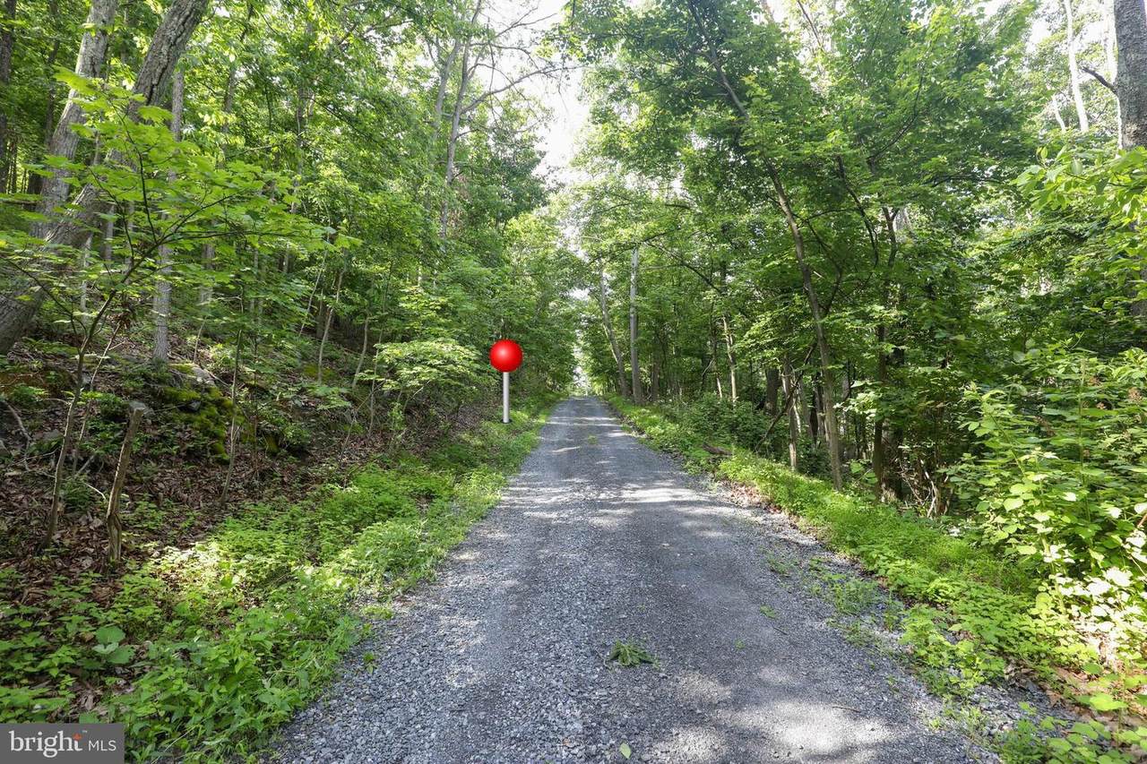 0 Black Bear Trail - Photo 1