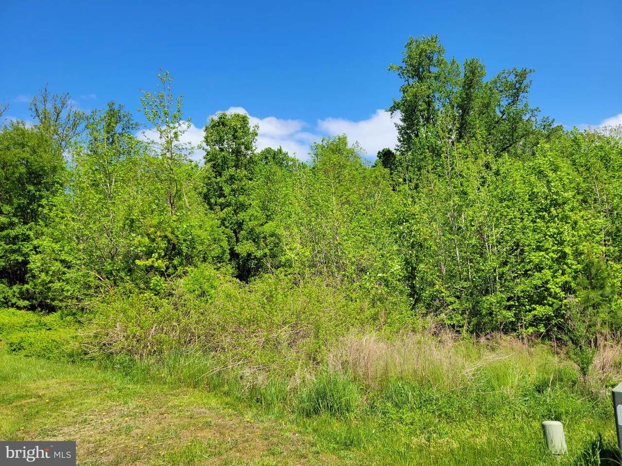 39 Wood Chip Road - Photo 1