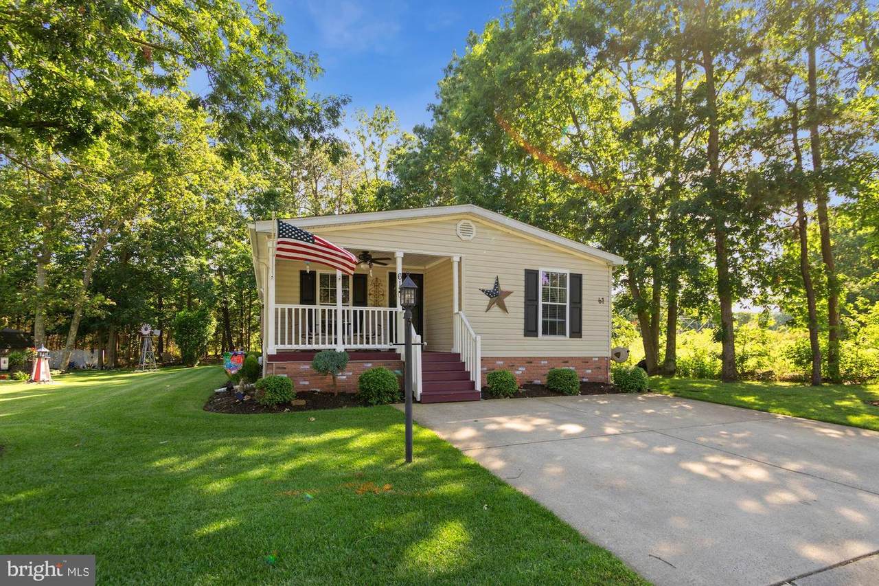 61 Shenandoah Drive - Photo 1