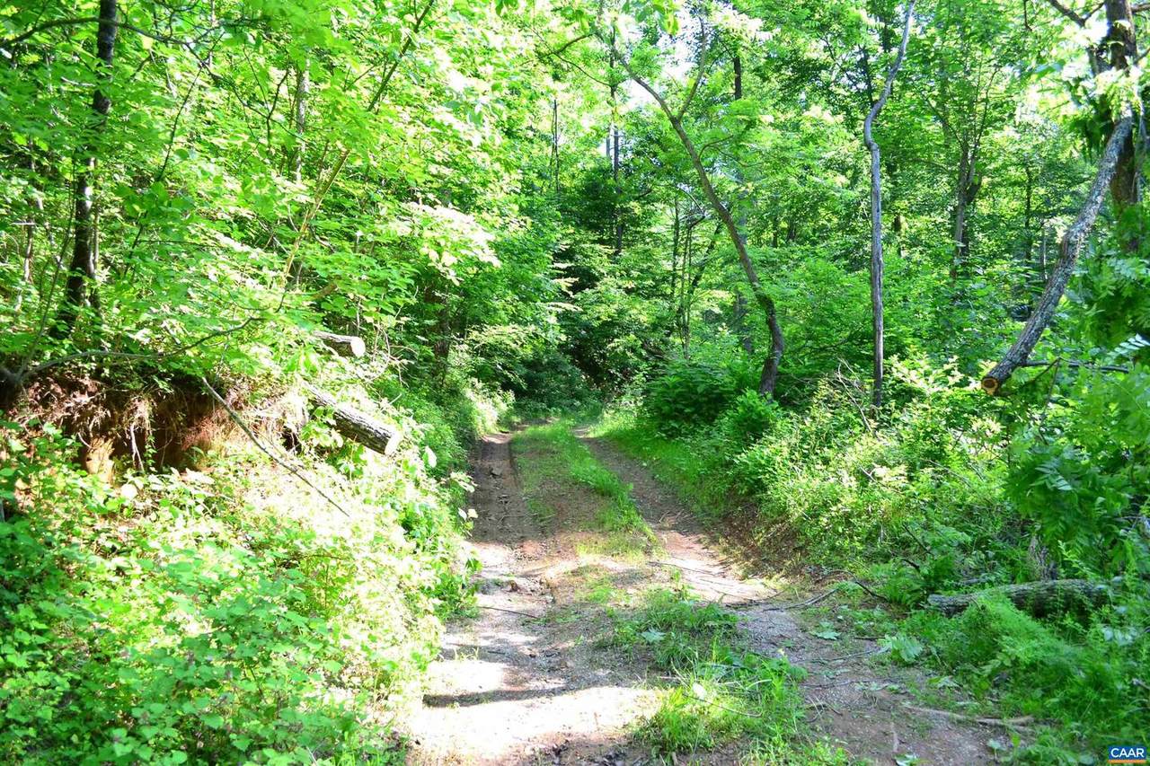 TBA Dulaney Mountain Rd - Photo 1