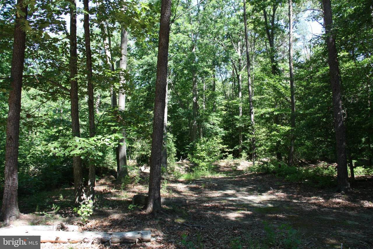 Cedarville Road - Photo 1