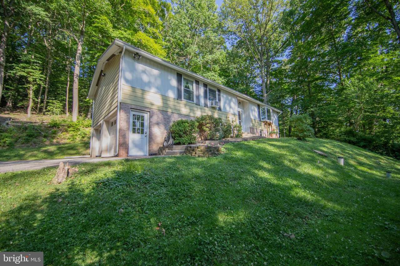 1135 Broad Run Road - Photo 1