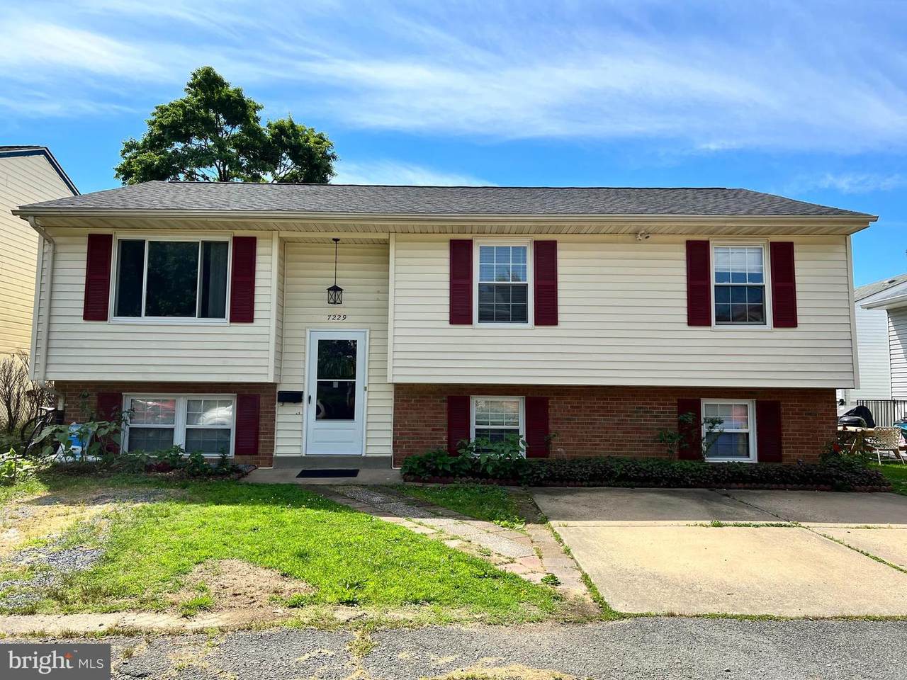 7229 Belinger Court - Photo 1