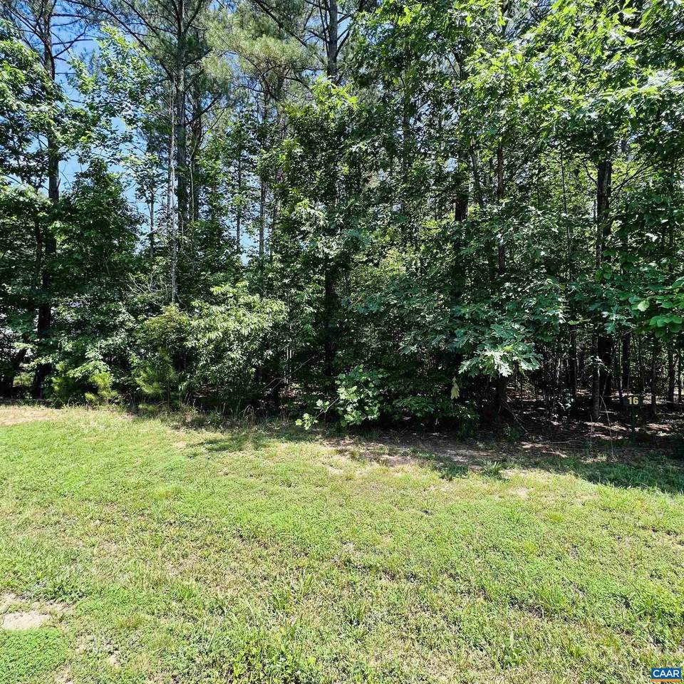 16 Pine Shadow Ct - Photo 1