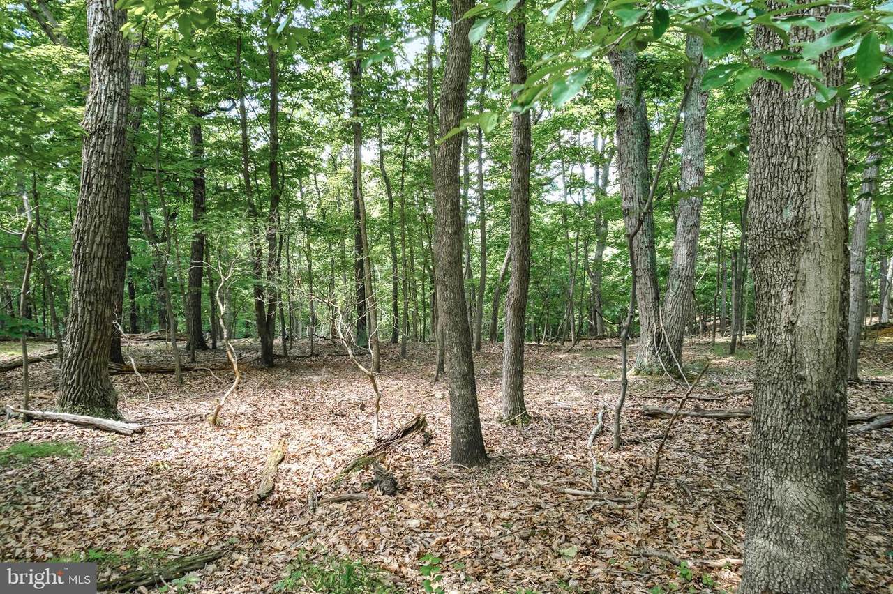Lot #59 Speaks Lane - Photo 1