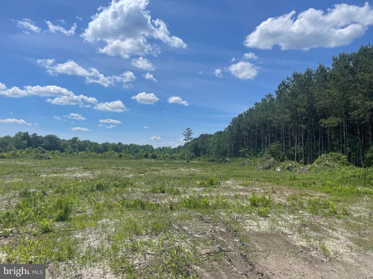 Lot 1C Peanut Tingle Rd - Photo 1