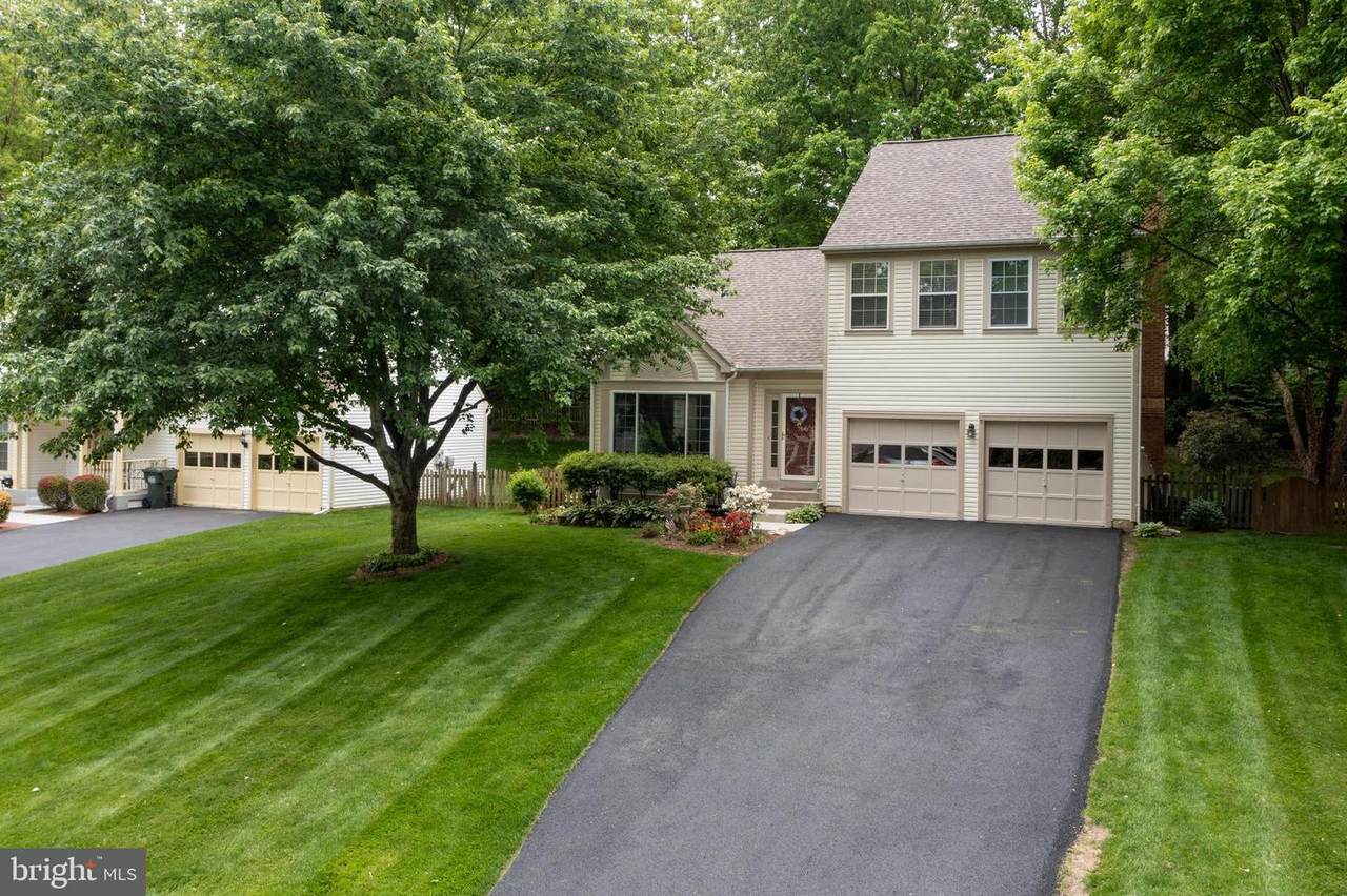 9017 Chestnut Ridge Road - Photo 1