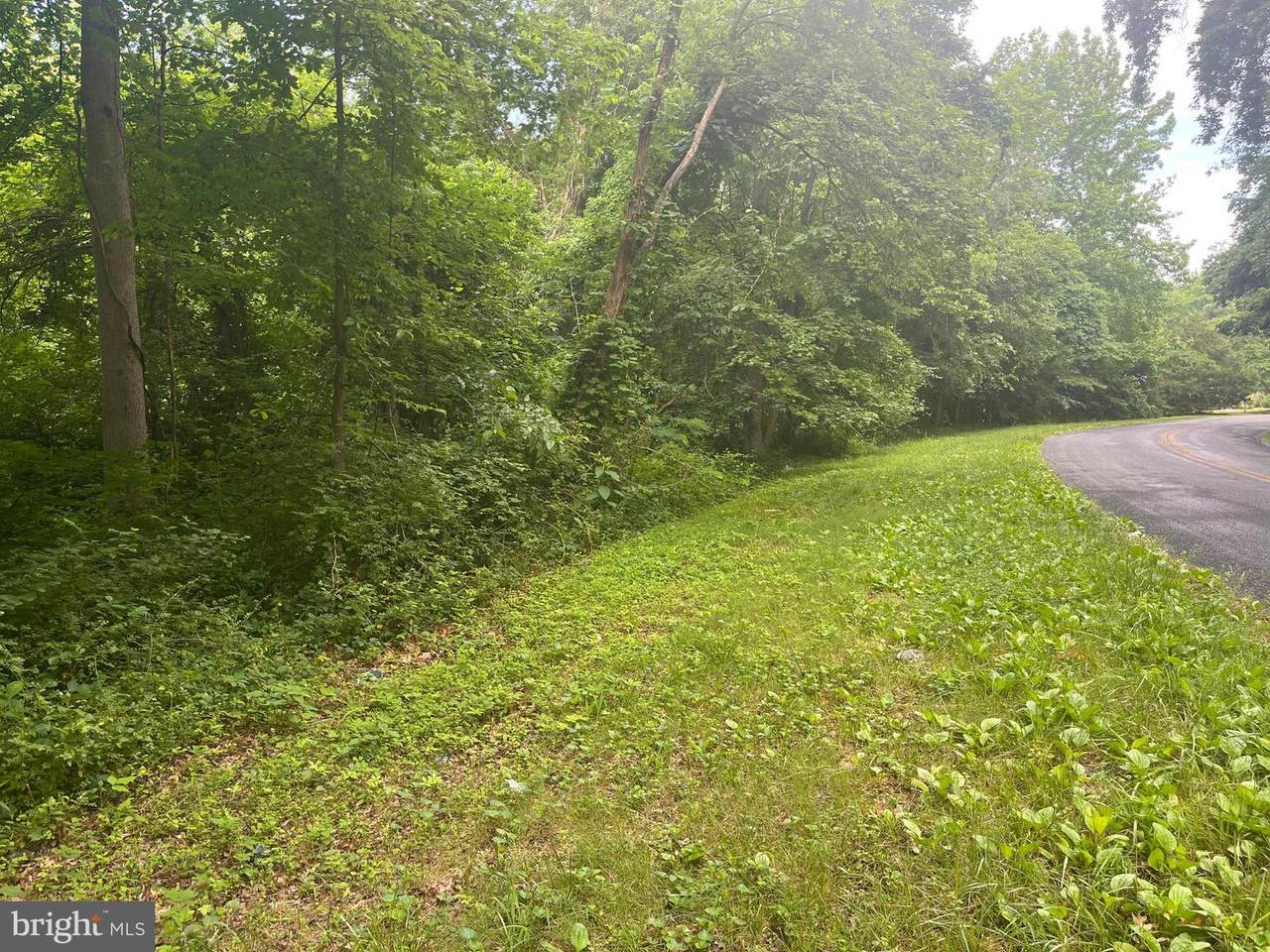 207 Pine Tree Road - Photo 1