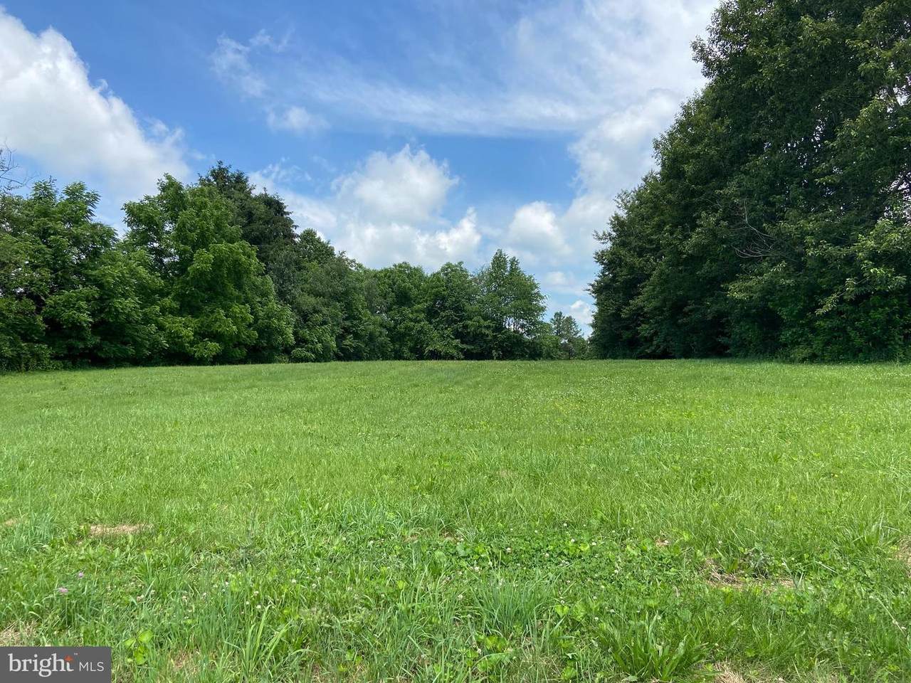 Lot 24 Schuylkill Mountain Road - Photo 1