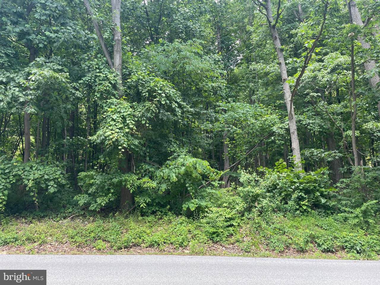 11181 Hunter Road - Photo 1